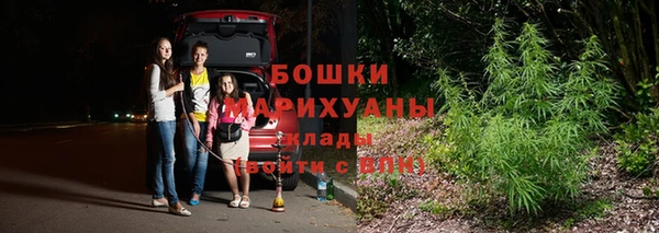 трава Бронницы